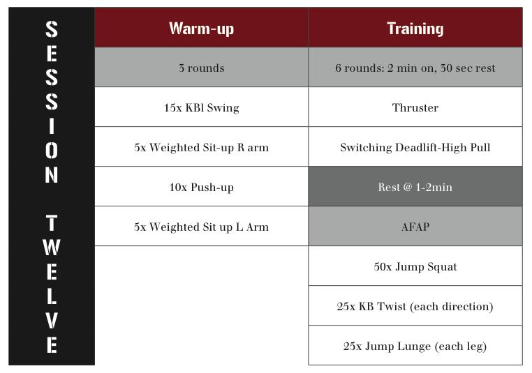 Kettlebell swing 2024 workout plan