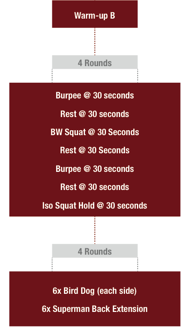 30 day bodyweight online workout plan