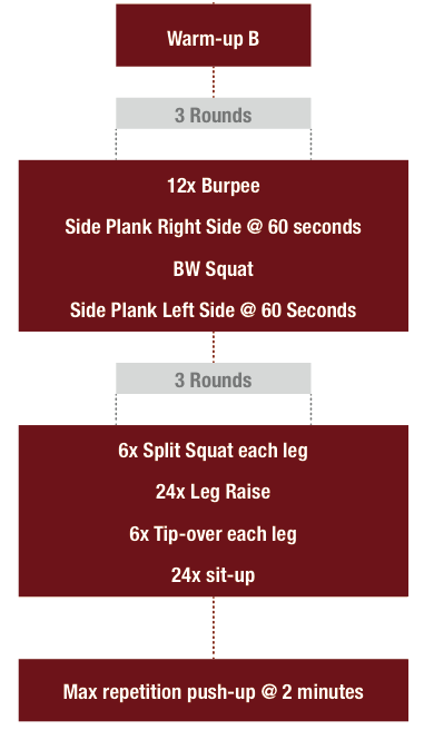 Bodyweight discount beginner routine