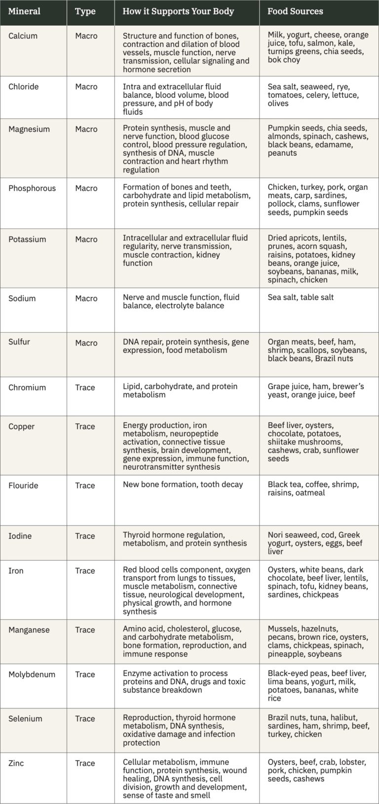 Intro To Nutrition & Healthy Eating - Hybrid Athlete